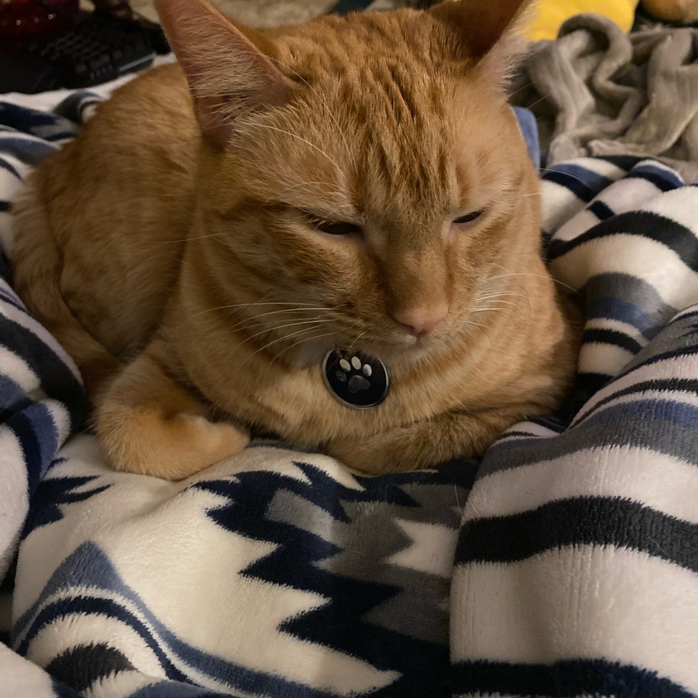 Accepting reasonable offers on everything in my closet !